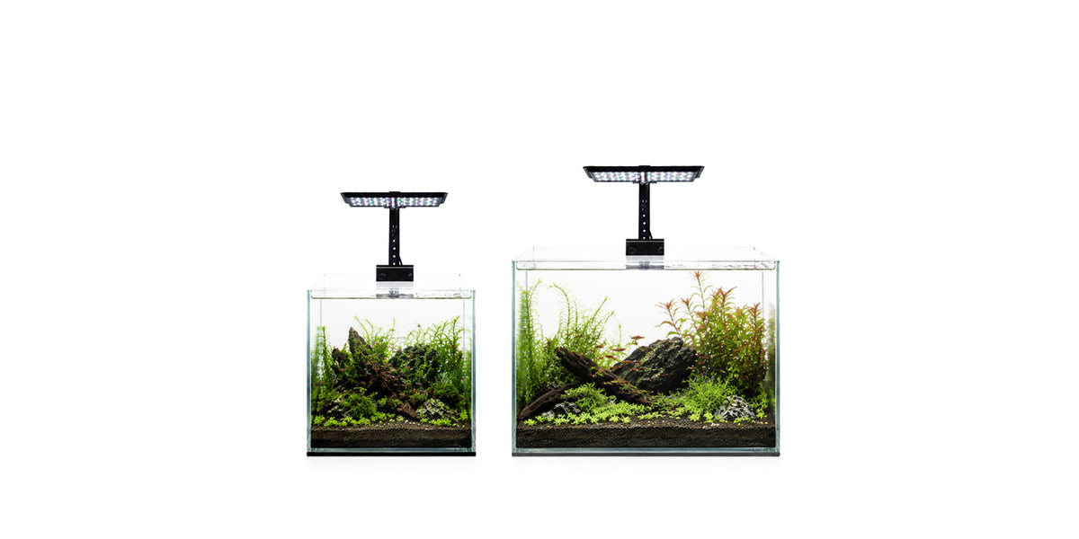 How to Choose the Perfect Aquarium Light for Your Aquascape