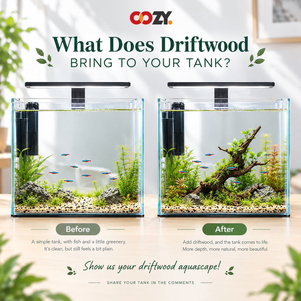 Small fish tank before and after adding natural aquarium driftwood and aquatic plants