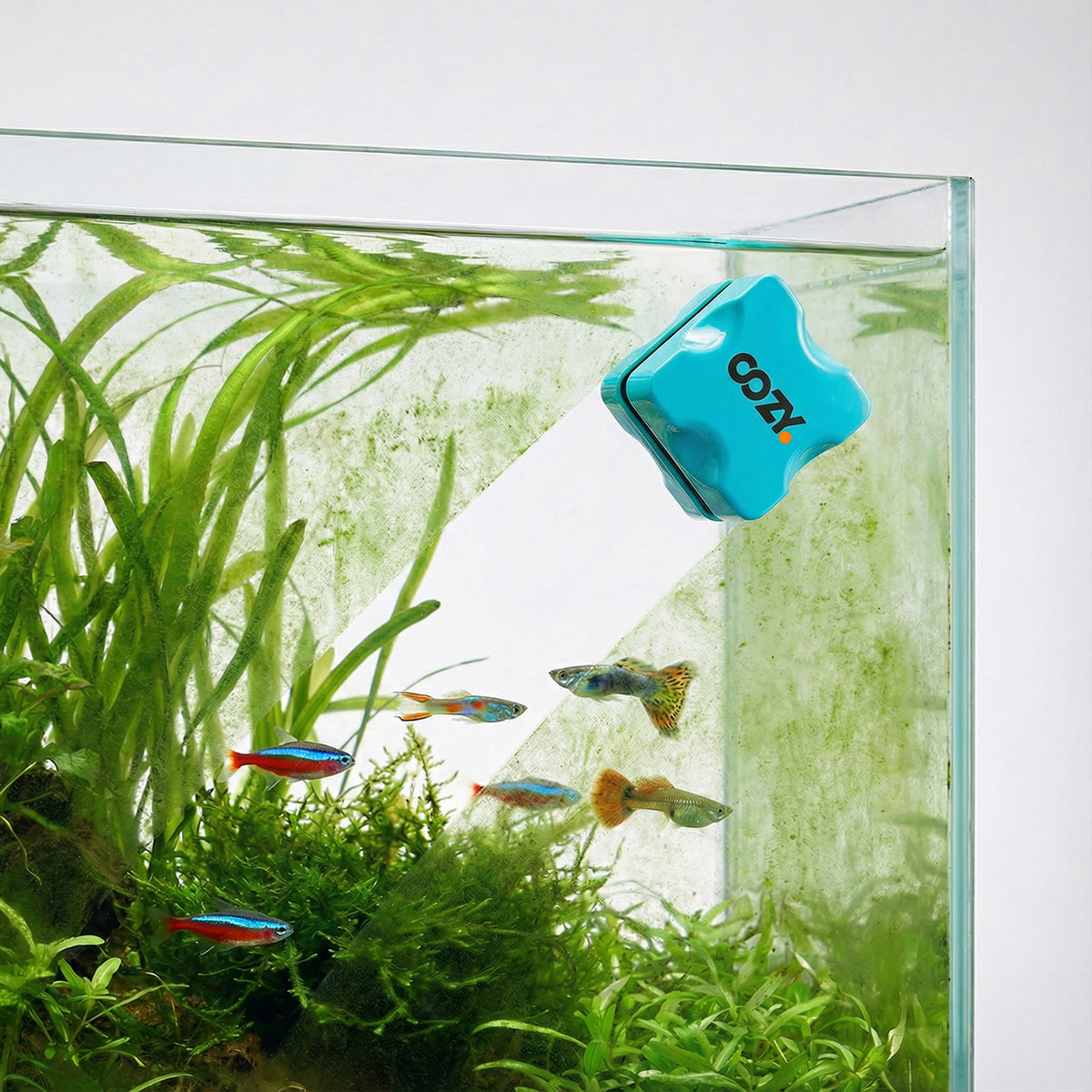 Aquarium Mini Magnetic Scrubber - Nano Fish Tank Glass Cleaner