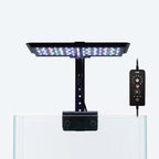OOZY LED Fish Tank Light - 24/7 Auto Day Cycle Aquarium Lighting