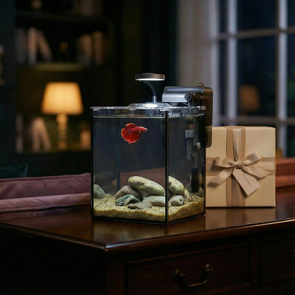 NanoCubic TERRA Betta Tank Kit | LED, Filter & Decor Starter Set | OOZY