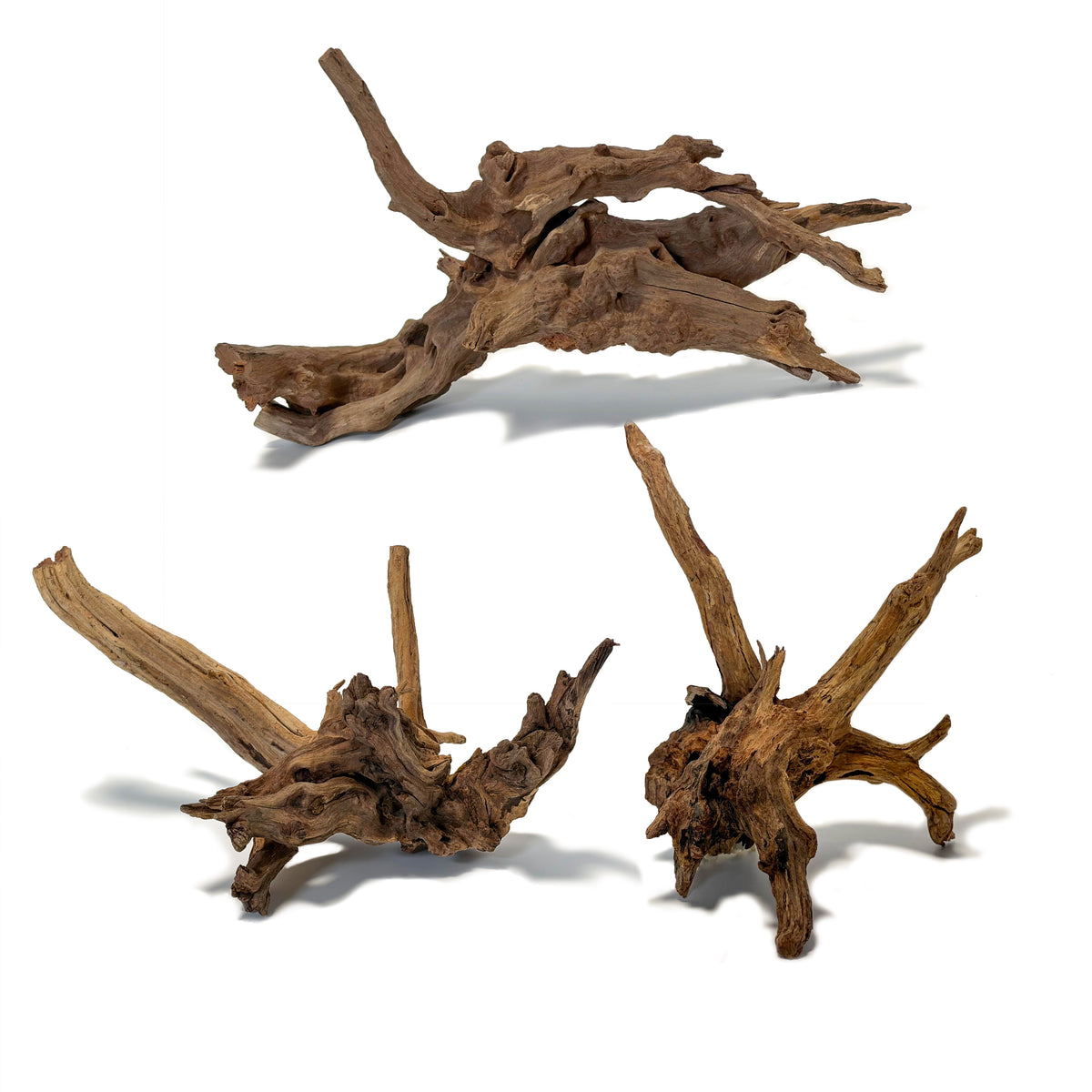 Natural Driftwood for Fish Tanks & Reptile Terrariums, 3 Pieces Per Pack, Pre-Treated Wood for Aquarium Landscape Decor | OOZY