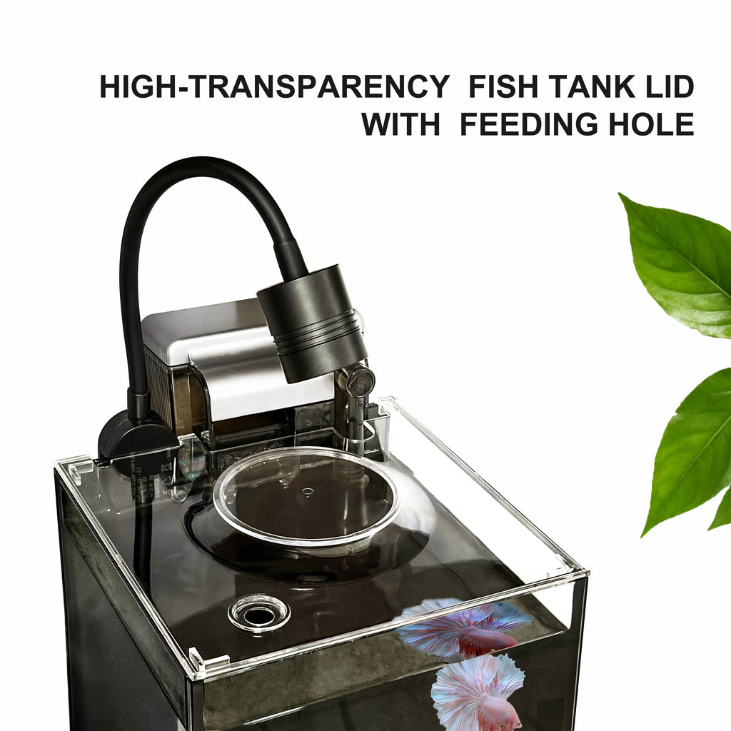 OOZY Complete Betta Aquarium Combo | NanoCubic COSMO Tank Kit + Pre-Treated Driftwood Landscape Pack