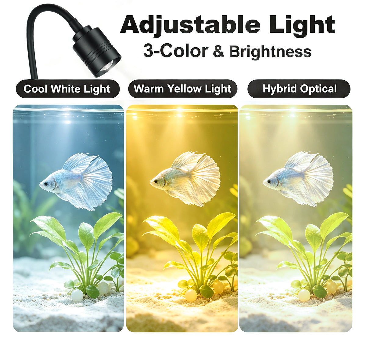 NanoCubic COSMO Betta Tank Kit | LED, Filter & Decor Starter Set | 1.2 Gallon Nano Aquarium Kit | OOZY