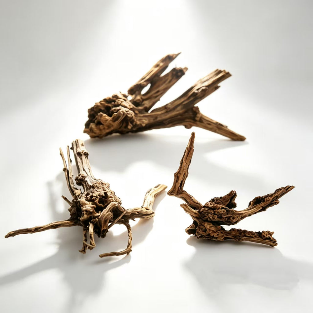 Oozy Natural Large Coral Driftwood for Fish Tanks & Reptile Terrariums, Assorted Driftwood 3 Pcs,Low Tannin, Easy to Sink, Aquarium Decor| OOZY