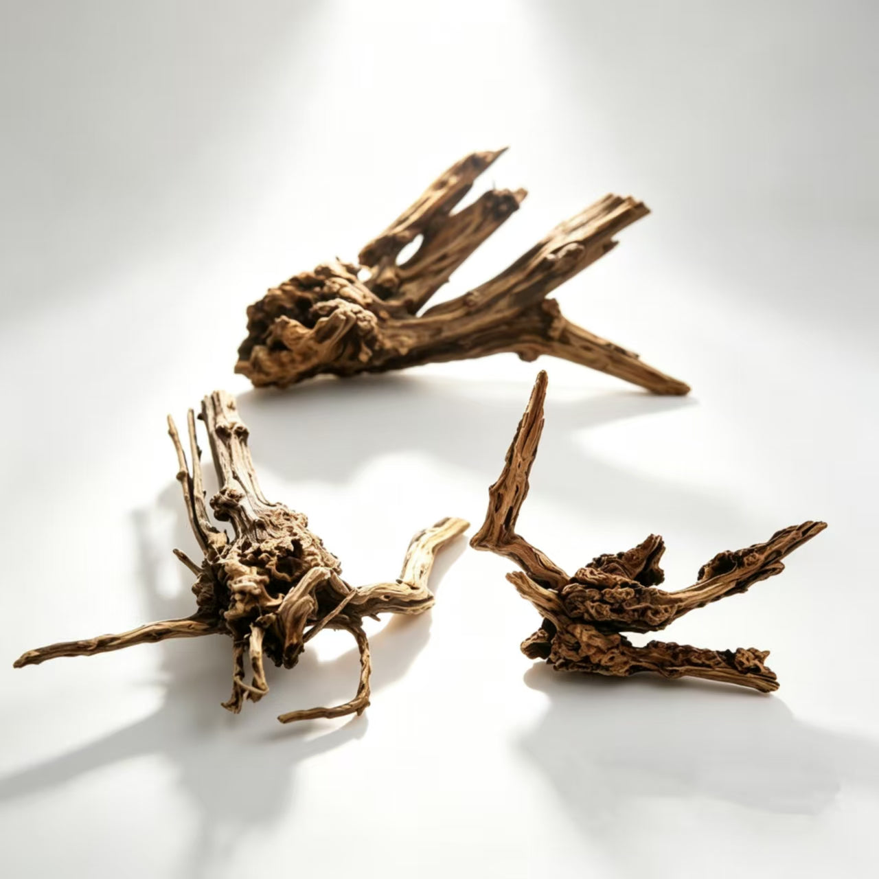 Oozy Natural Large Coral Driftwood for Fish Tanks & Reptile Terrariums, Assorted Driftwood 3 Pcs,Low Tannin, Easy to Sink, Aquarium Decor| OOZY