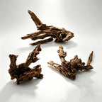 Oozy Natural Large Coral Driftwood for Fish Tanks & Reptile Terrariums, Assorted Driftwood 3 Pcs,Low Tannin, Easy to Sink, Aquarium Decor| OOZY