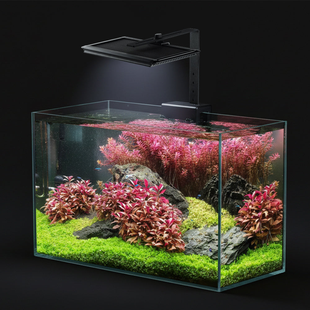 OOZY LED Fish Tank Light - 24/7 Auto Day Cycle Aquarium Lighting
