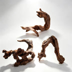 Oozy Natural Large Coral Driftwood for Fish Tanks & Reptile Terrariums, Assorted Driftwood 3 Pcs,Low Tannin, Easy to Sink, Aquarium Decor| OOZY