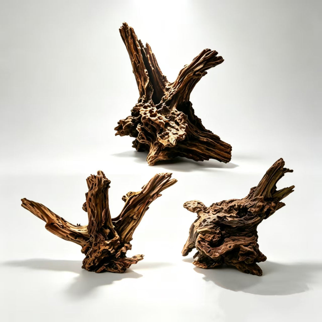 Oozy Natural Large Coral Driftwood for Fish Tanks & Reptile Terrariums, Assorted Driftwood 3 Pcs,Low Tannin, Easy to Sink, Aquarium Decor| OOZY