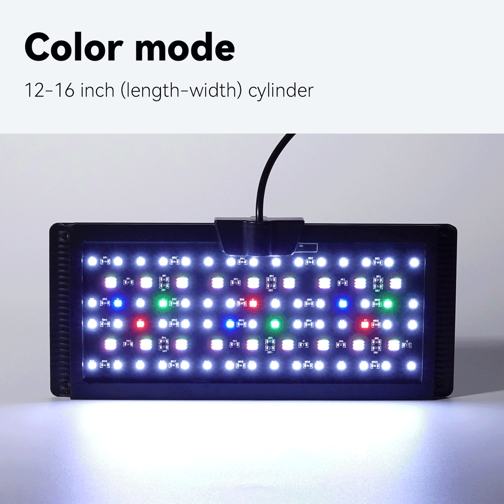 OOZY Fish Tank Aquarium Bundle: Auto 24/7 LED Lighting + 5-in-1 Cleaning Tool Kit