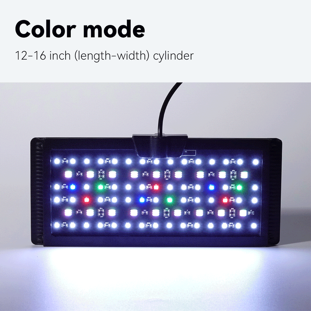 OOZY LED Fish Tank Light - 24/7 Auto Day Cycle Aquarium Lighting