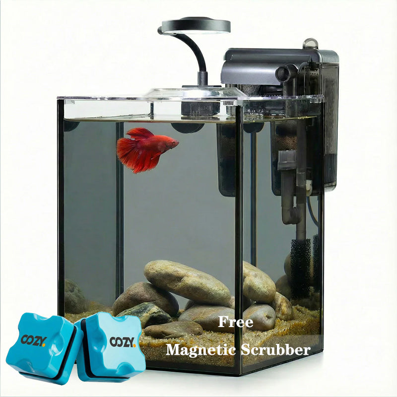 OOZY Complete Betta Aquarium Combo | NanoCubic TERRA Tank Kit + Pre-Treated Driftwood Landscape Pack