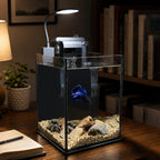 NanoCubic TERRA Betta Tank Kit | LED, Filter & Decor Starter Set | 1.2 Gallon Nano Aquarium Kit | OOZY