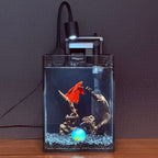 OOZY Complete Betta Aquarium Combo | NanoCubic COSMO Tank Kit + Pre-Treated Driftwood Landscape Pack