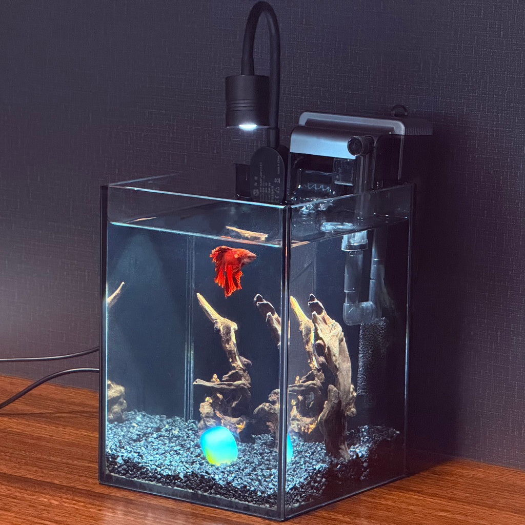 OOZY Complete Betta Aquarium Combo | NanoCubic COSMO Tank Kit + Pre-Treated Driftwood Landscape Pack
