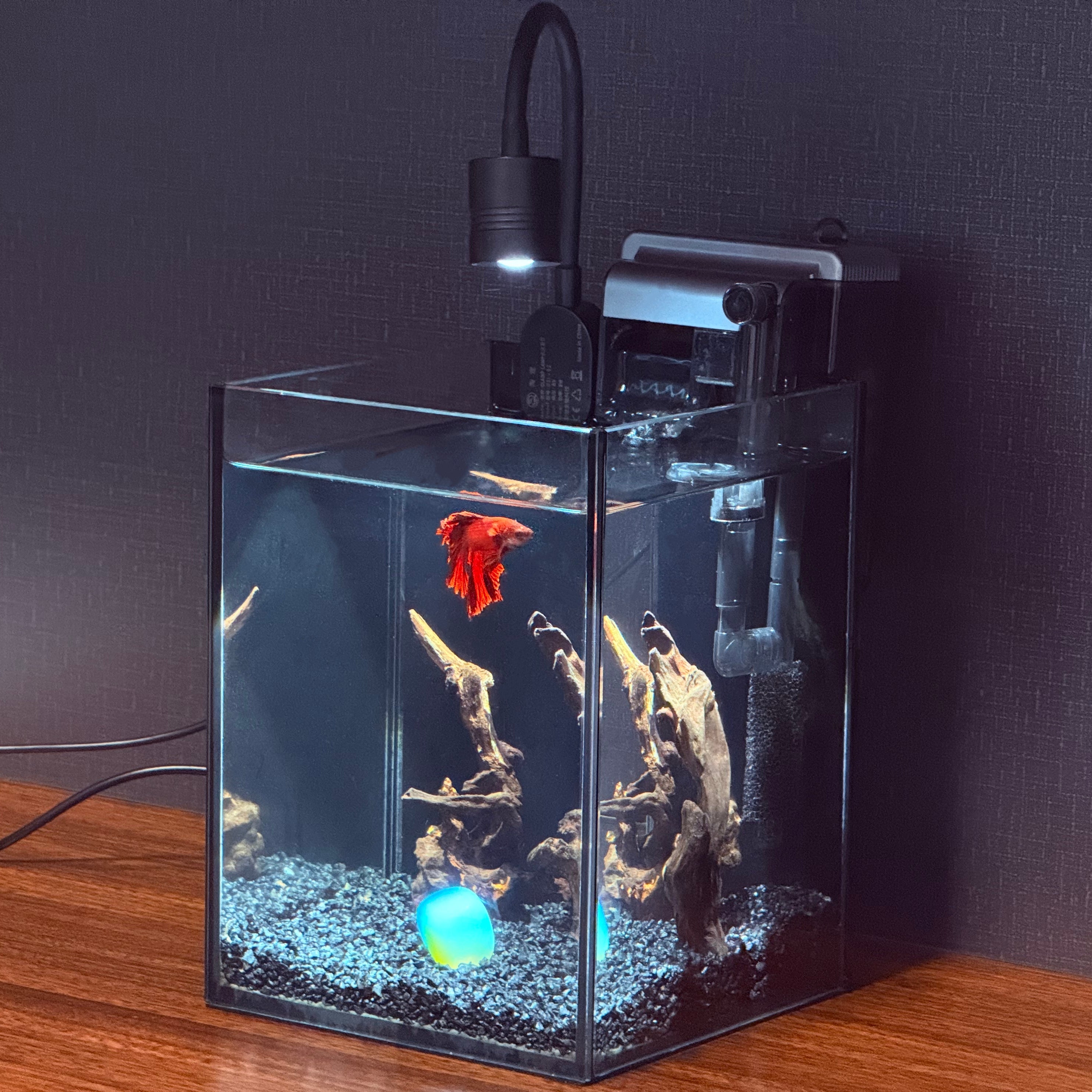 OOZY Complete Betta Aquarium Combo | NanoCubic COSMO Tank Kit + Pre-Treated Driftwood Landscape Pack