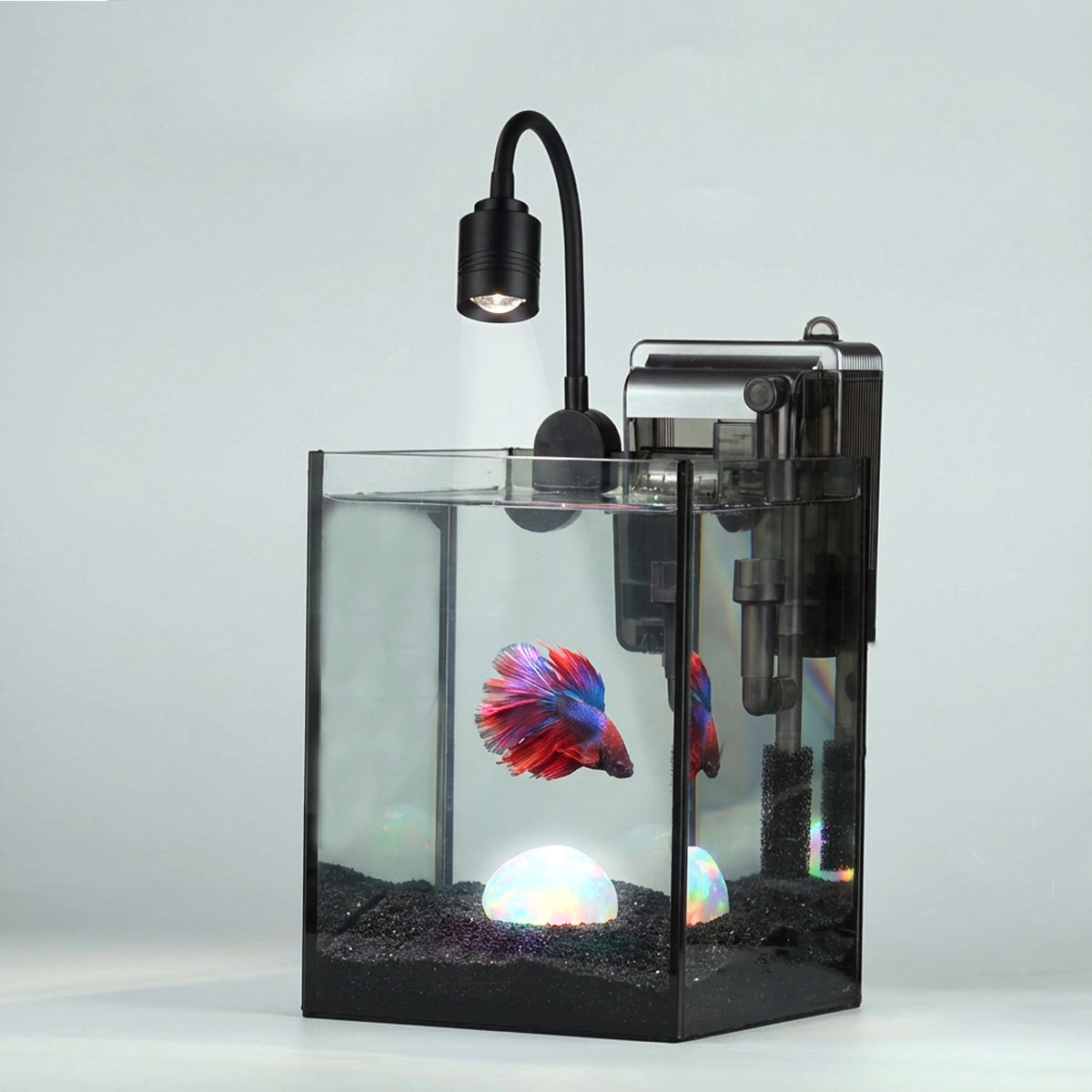 Nano Fish Tank Starter Kit for Betta Fish