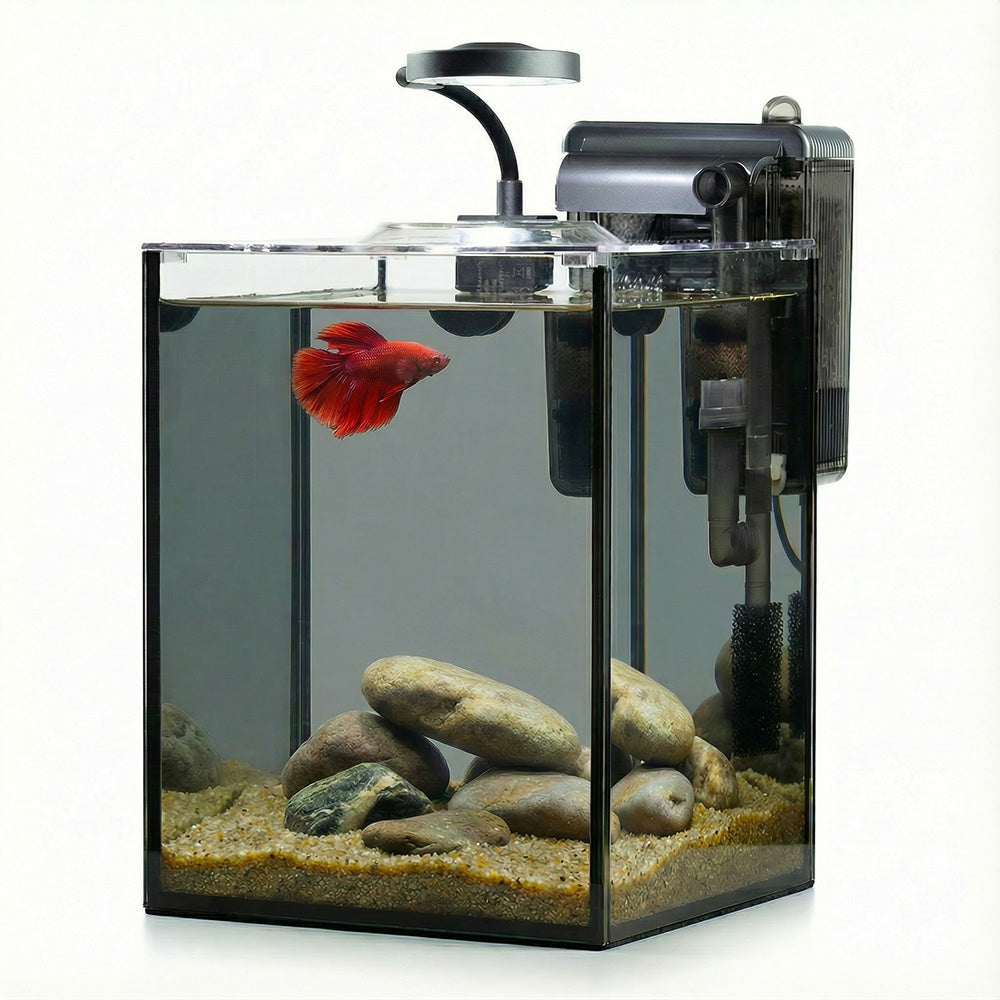NanoCubic TERRA Betta Tank Kit | LED, Filter & Decor Starter Set | OOZY