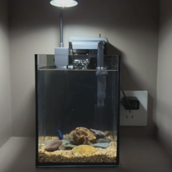 NanoCubic TERRA Betta Tank Kit | LED, Filter & Decor Starter Set | 1.2 Gallon Nano Aquarium Kit | OOZY