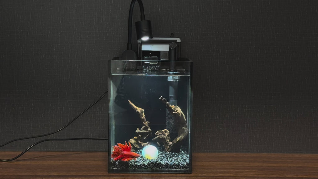 OOZY Complete Betta Aquarium Combo | NanoCubic COSMO Tank Kit + Pre-Treated Driftwood Landscape Pack
