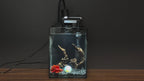 OOZY Complete Betta Aquarium Combo | NanoCubic COSMO Tank Kit + Pre-Treated Driftwood Landscape Pack