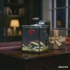 OOZY Complete Betta Aquarium Combo | NanoCubic TERRA Tank Kit + Pre-Treated Driftwood Landscape Pack
