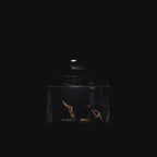 OOZY Complete Betta Aquarium Combo | NanoCubic COSMO Tank Kit + Pre-Treated Driftwood Landscape Pack