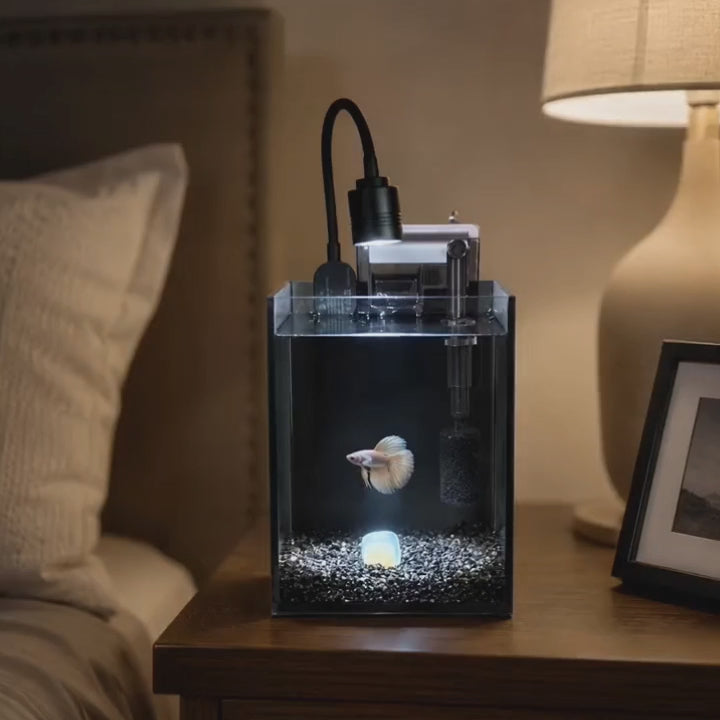 NanoCubic COSMO Betta Tank Kit | LED, Filter & Decor Starter Set | 1.2 Gallon Nano Aquarium Kit | OOZY