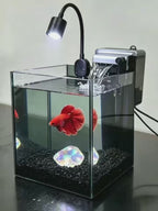NanoCubic COSMO Betta Tank Kit | LED, Filter & Decor Starter Set | OOZY