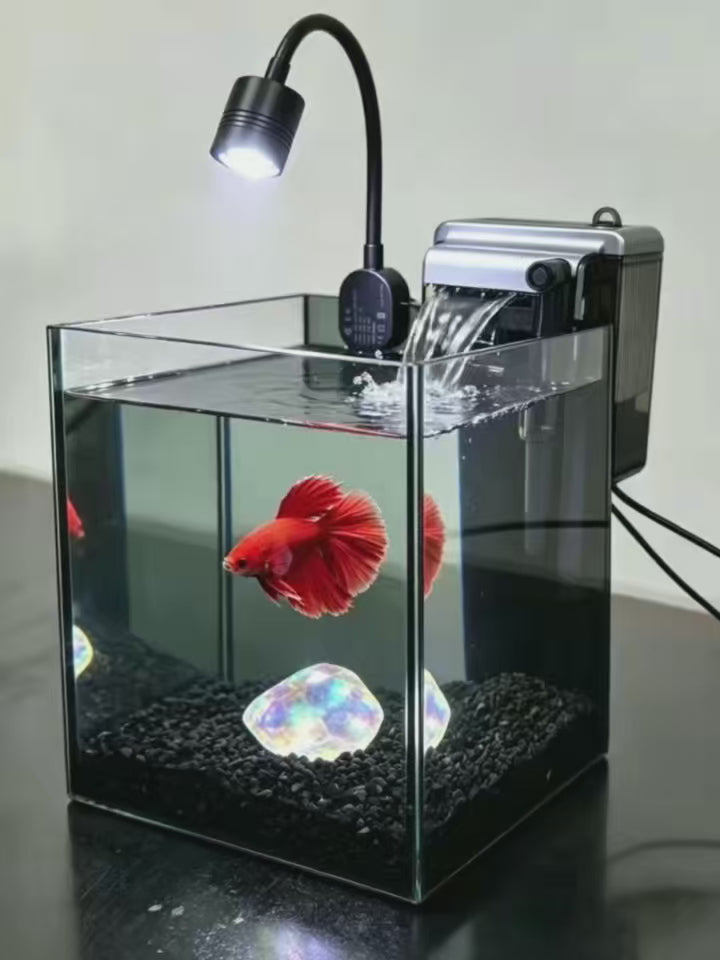 NanoCubic COSMO Betta Tank Kit | LED, Filter & Decor Starter Set | OOZY