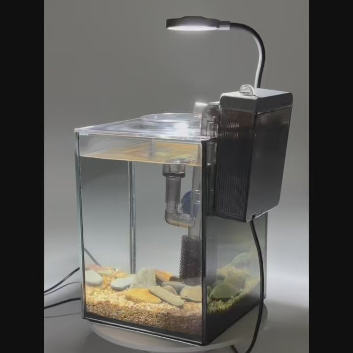 NanoCubic TERRA Betta Tank Kit | LED, Filter & Decor Starter Set | 1.2 Gallon Nano Aquarium Kit | OOZY