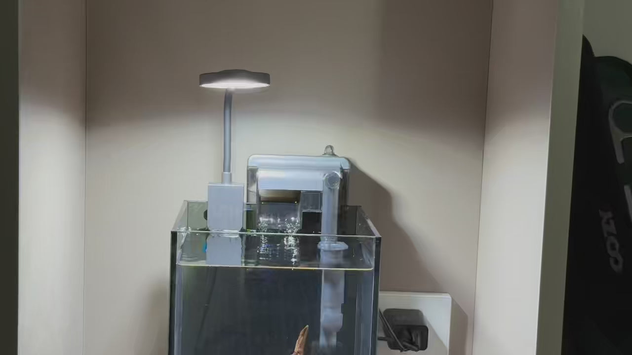 OOZY Complete Betta Aquarium Combo | NanoCubic TERRA Tank Kit + Pre-Treated Driftwood Landscape Pack