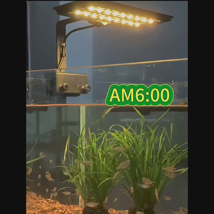 OOZY LED Fish Tank Light - 24/7 Auto Day Cycle Aquarium Lighting